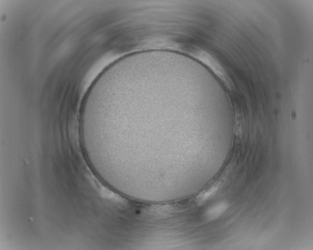 X0000070431094200606231912