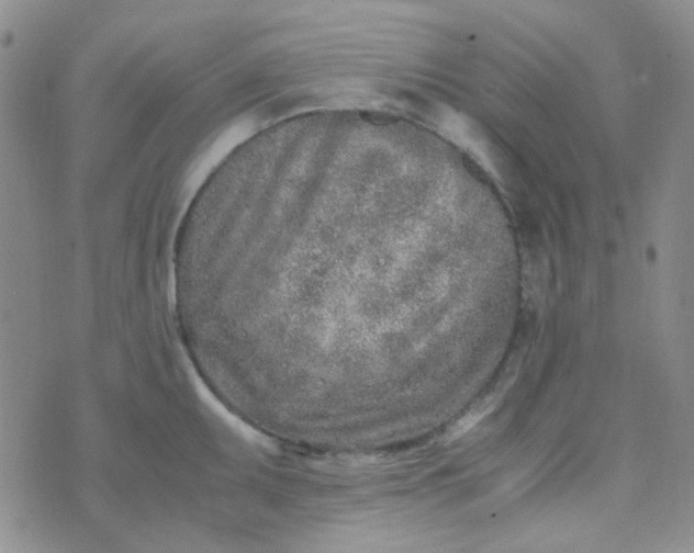 X0000070431095200606231912