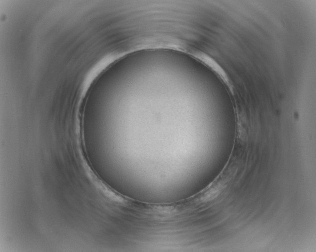 X0000070431096200606231912