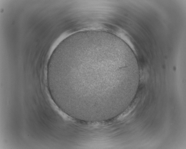 X0000070431099200606231912