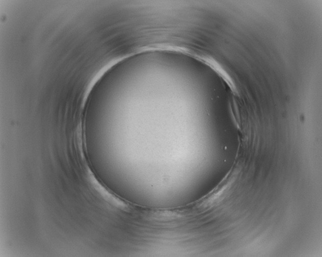 X0000070431100200606231912