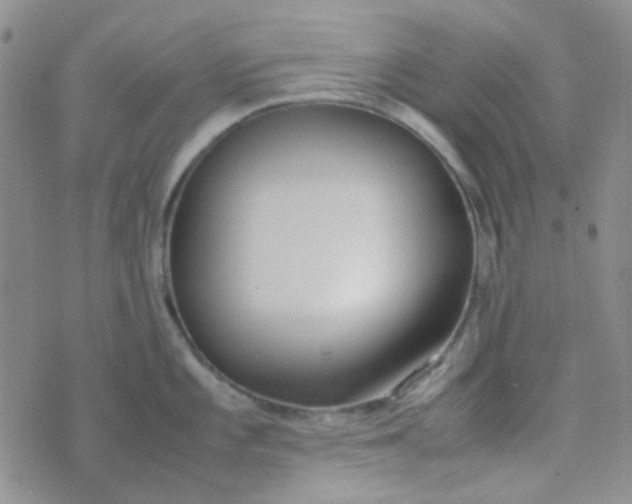 X0000070431101200606231912