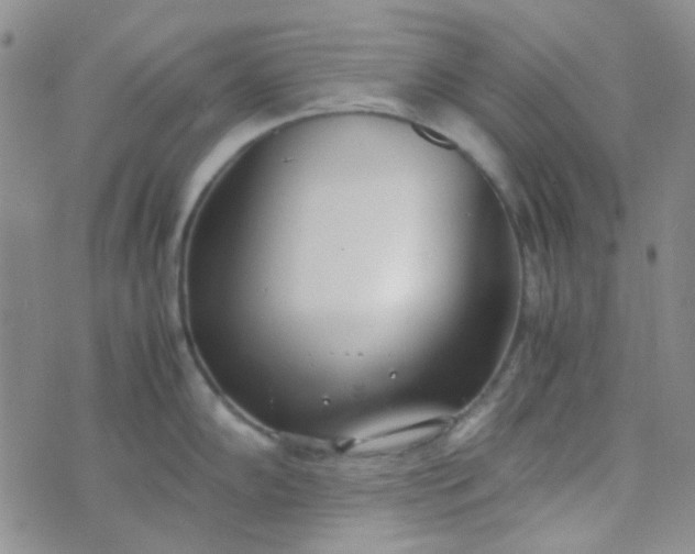 X0000070431102200606231912