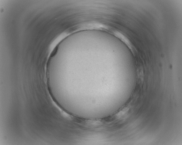 X0000070431103200606231912