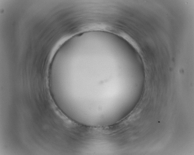 X0000070431104200606231912