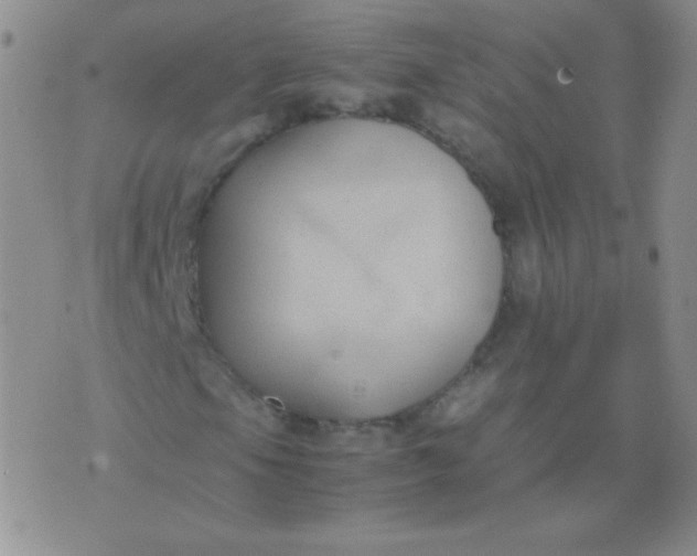 X0000070431105200606231911