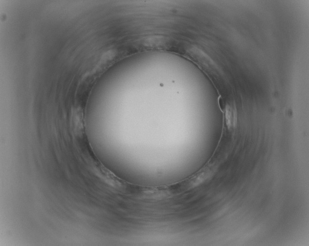 X0000070431107200606231911