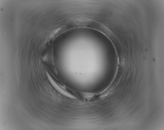 X0000070431108200606231911