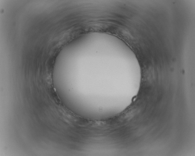 X0000070431109200606231911