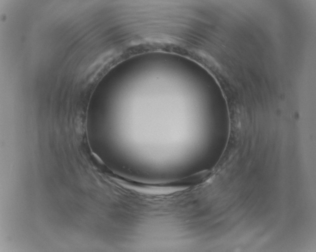 X0000070431110200606231911