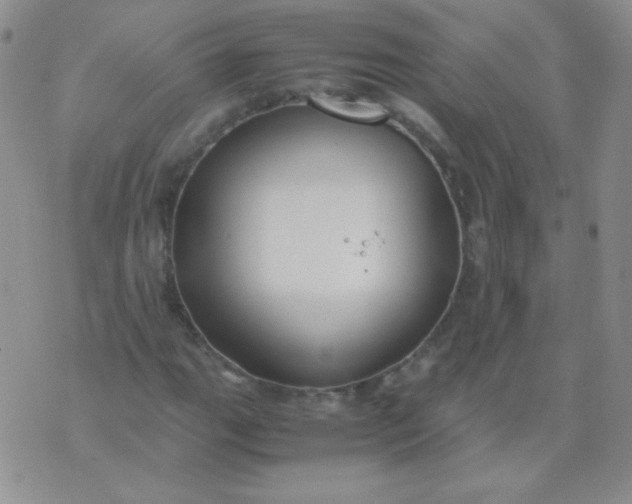 X0000070431111200606231911