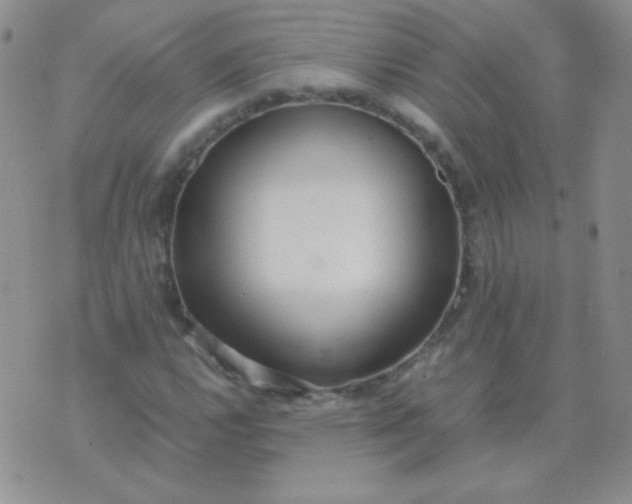 X0000070431112200606231911