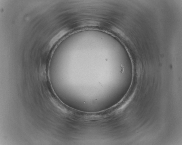 X0000070431113200606231911