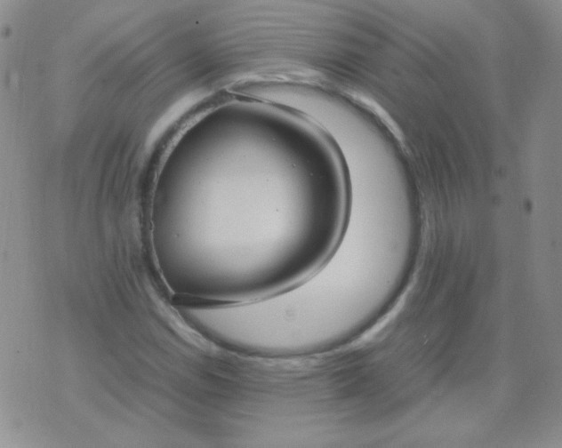 X0000070431114200606231911