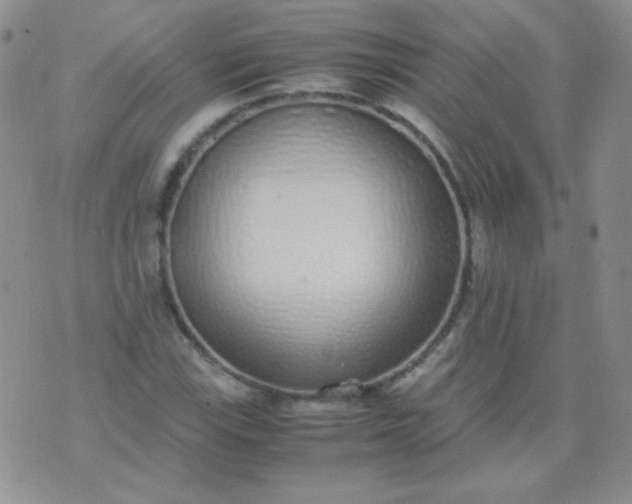 X0000070431115200606231911