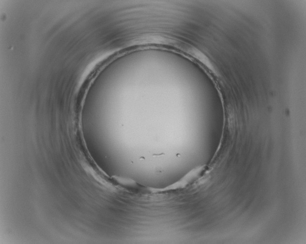 X0000070431116200606231911