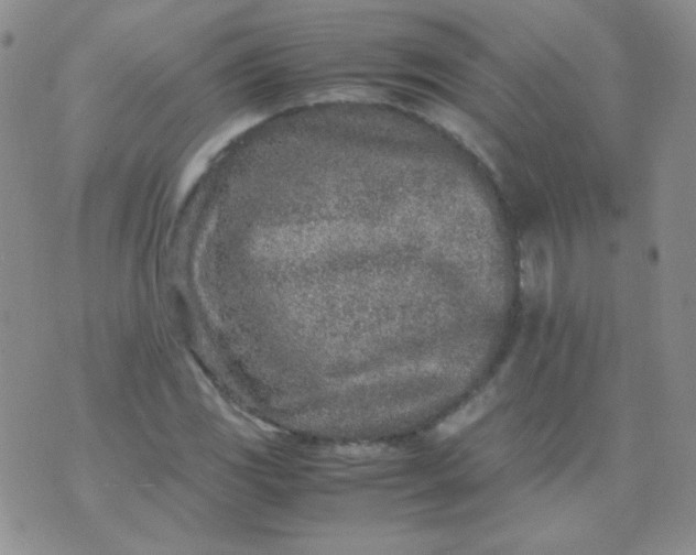 X0000070431117200606231911