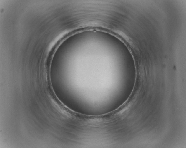 X0000070431118200606231911