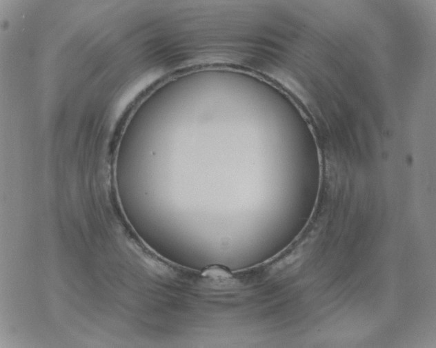 X0000070431119200606231911