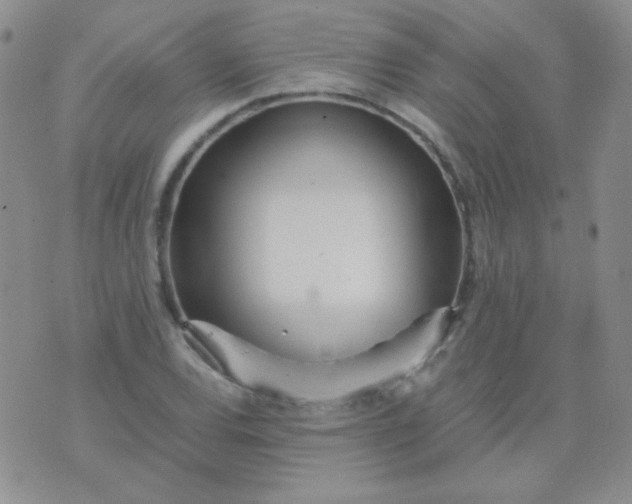 X0000070431120200606231911