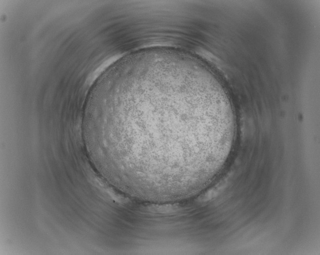 X0000070431121200606231911