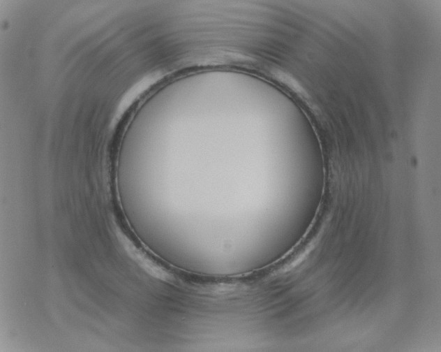 X0000070431122200606231911