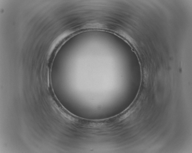 X0000070431123200606231911