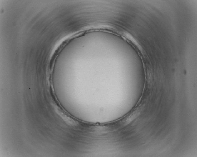 X0000070431124200606231911