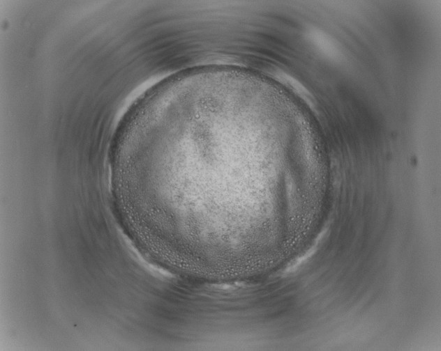 X0000070431125200606231911