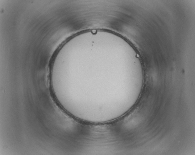 X0000070431126200606231911