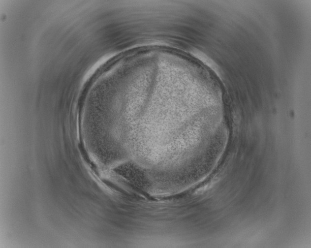 X0000070431127200606231911