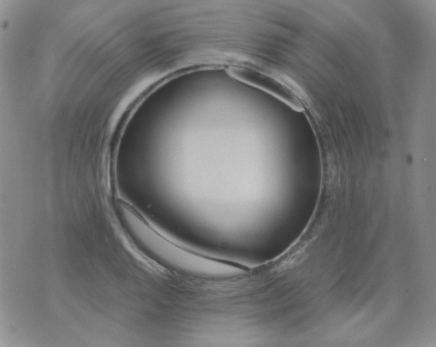 X0000070431128200606231911