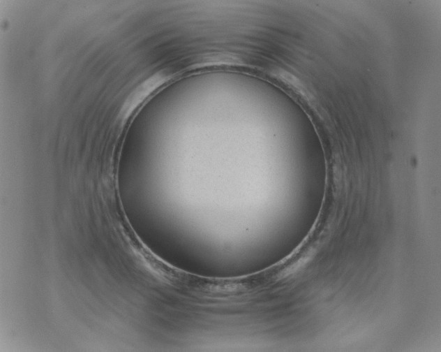 X0000070431129200606231911