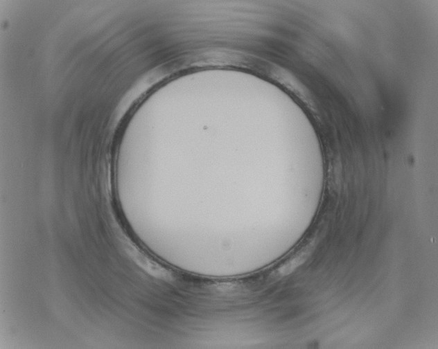 X0000070431130200606231911