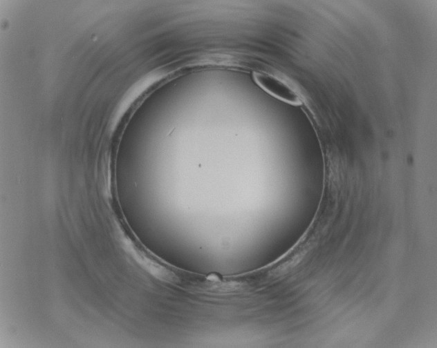 X0000070431131200606231911