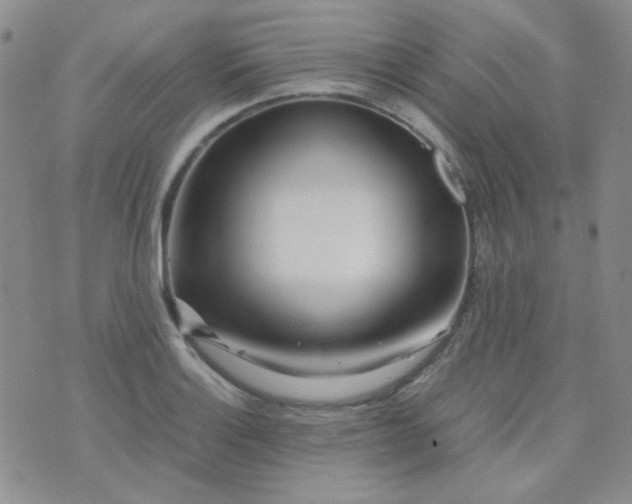 X0000070431132200606231911