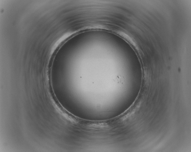 X0000070431133200606231911