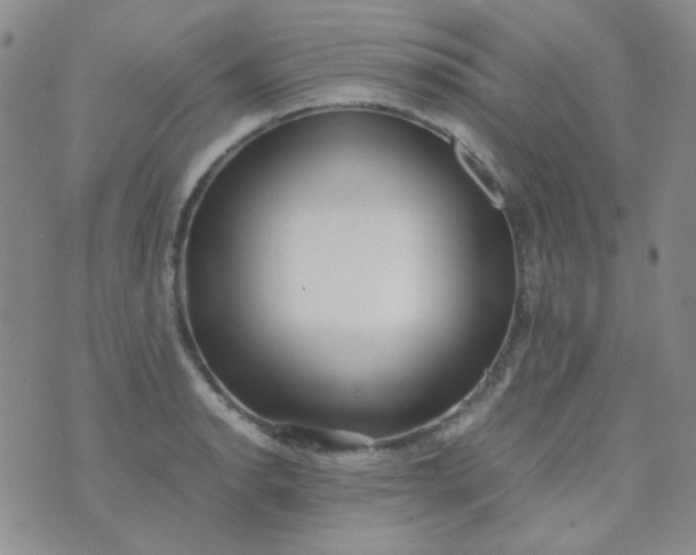 X0000070431134200606231911