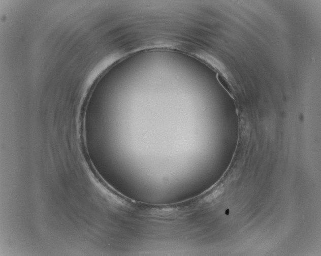 X0000070431135200606231911