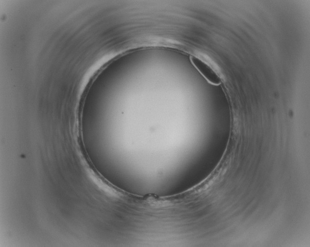 X0000070431136200606231911