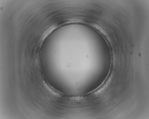 X0000070431137200606231911