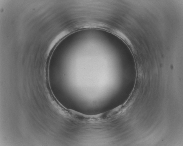 X0000070431138200606231911