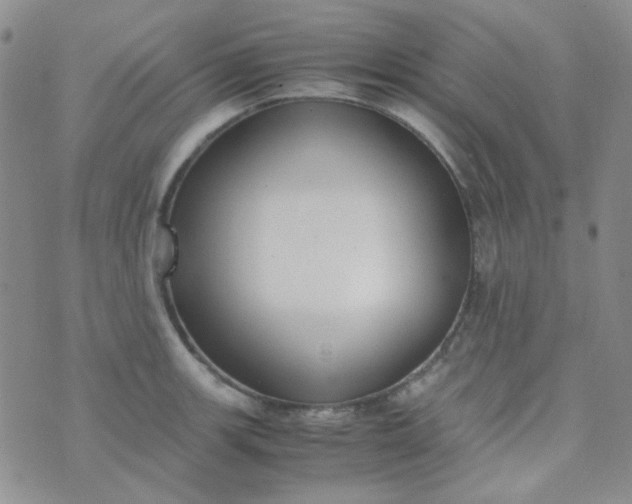 X0000070431139200606231911