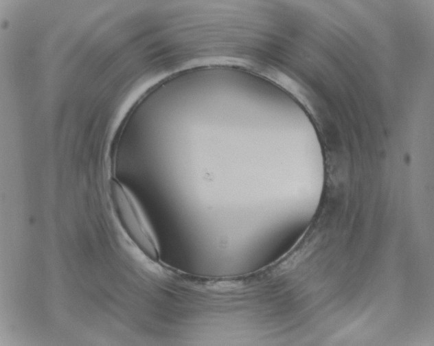 X0000070431140200606231911