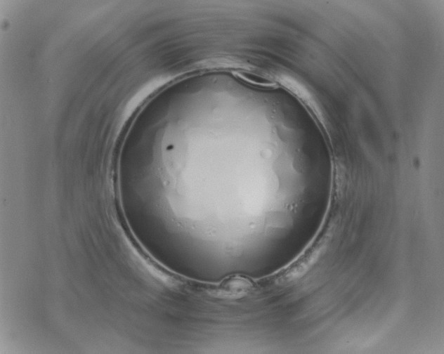 X0000070431141200606231911