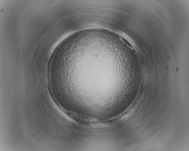 X0000070431142200606231911