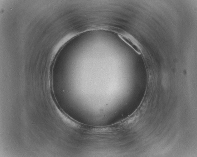 X0000070431143200606231911