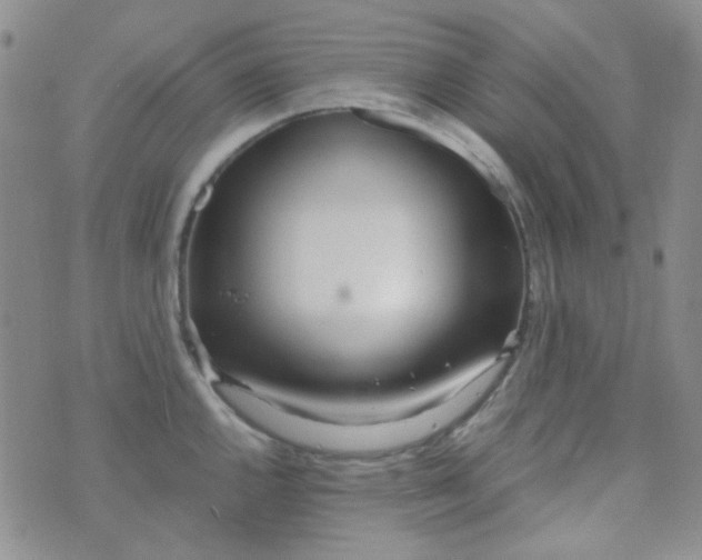 X0000070431144200606231911