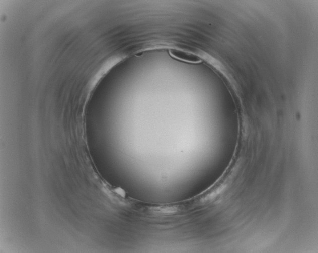 X0000070431145200606231911