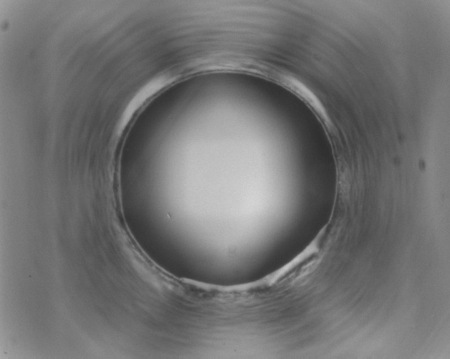 X0000070431146200606231911